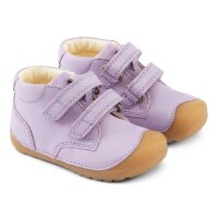 Petit Klett Lauflerner lilac