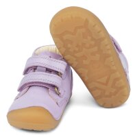Petit Klett Lauflerner lilac