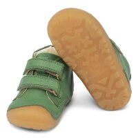 Petit Klett Lauflerner green
