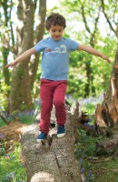 Forester Chinos rot