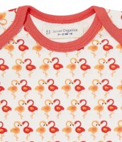 Yvon Body kurzarm Flamingo