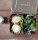 LunchBots Bento Duo