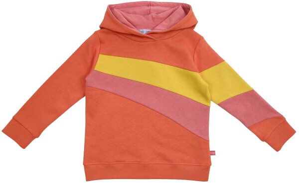 Hoodie Colorblock