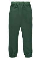 Sweatpants Tiger gestickt green