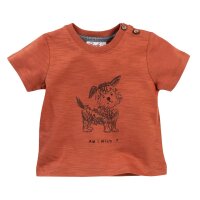 T-Shirt Druck