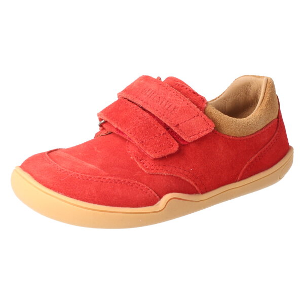 Skink Sneaker Velour