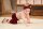 Body langarm Ripp