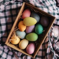 12 Happy Eggs Regenbogen