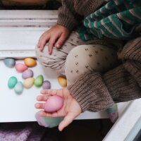 12 Happy Eggs Regenbogen