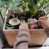 12 Happy Eggs Regenbogen