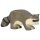Holztiger Waschbär