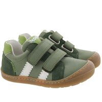 Denis Sneaker
