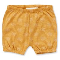 Maya Bloomers Muster