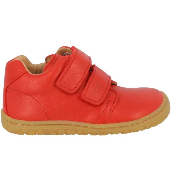 Sneaker Noah