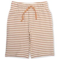Corfe Shorts