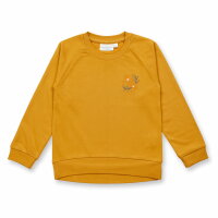 Dena Sweatshirt