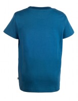 Stanley T-Shirt Hai tinte