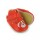 Easy Peasy Babyschuhe Katze orange