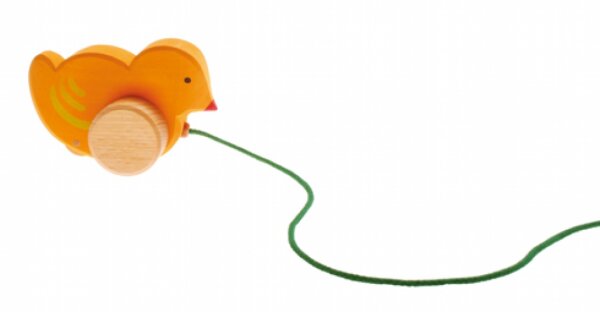 Nachziehtier Hühnerküken