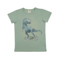 Schlafanzug kurz Dinosaurs - 104