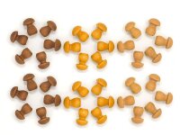 36 Mandala Mushrooms