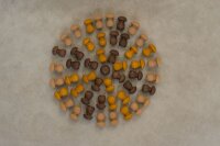 36 Mandala Mushrooms
