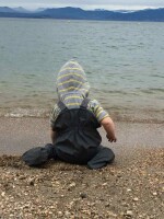 Softskin Babybuddy marine