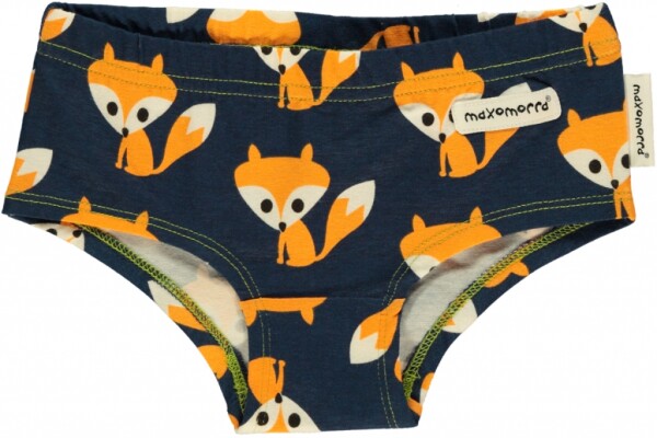 Hipster Fuchs