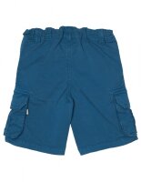 Explorer Shorts tinte