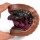 Firefly Mid Cut Wolle purple - 27