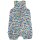 Coverack Spieler Regenbogenfische