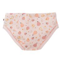 Slips 2er-Pack Herbstfr&uuml;chte ros&eacute; - 146