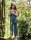Jay Jumpsuit Paradiesvogel