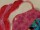 Starterset Stoffbinden New Pink Power