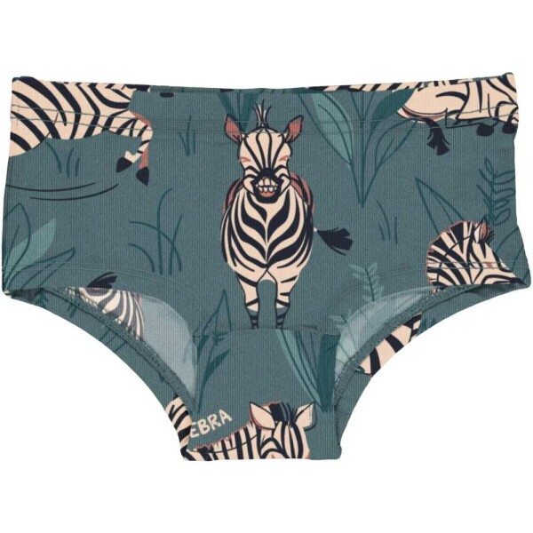 Hipster Zippy Zebra - 104/110