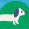 Hund