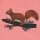 Eichhörnchen