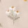 Blumen bunt