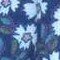 Blumen