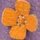 Blumen