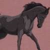 Pferd