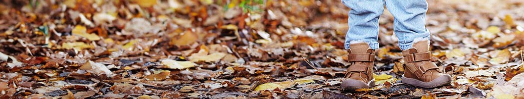 banner-bundgaard-bfs-winter.jpg