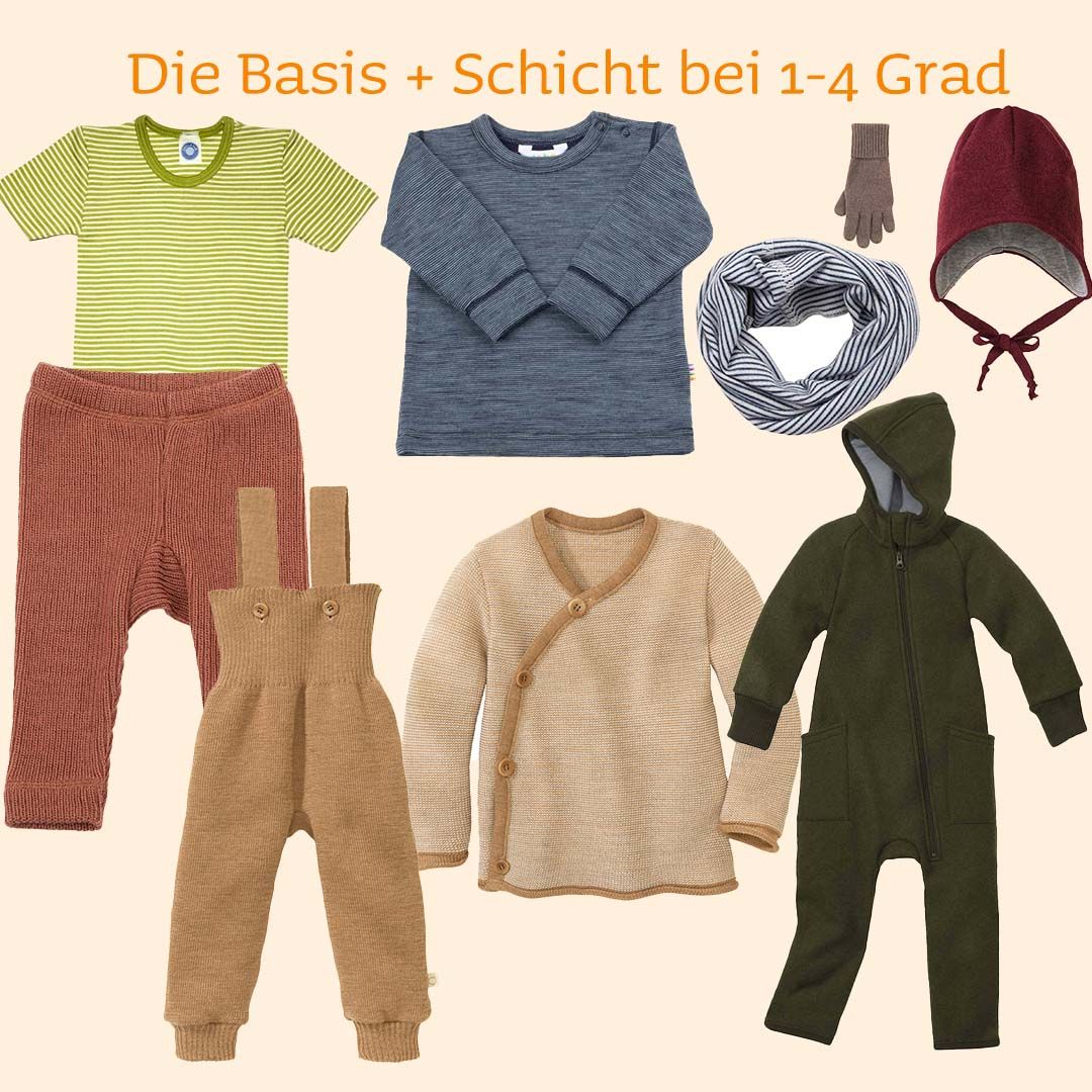 Zwiebelprinzip-1-bis-4-Grad.jpg