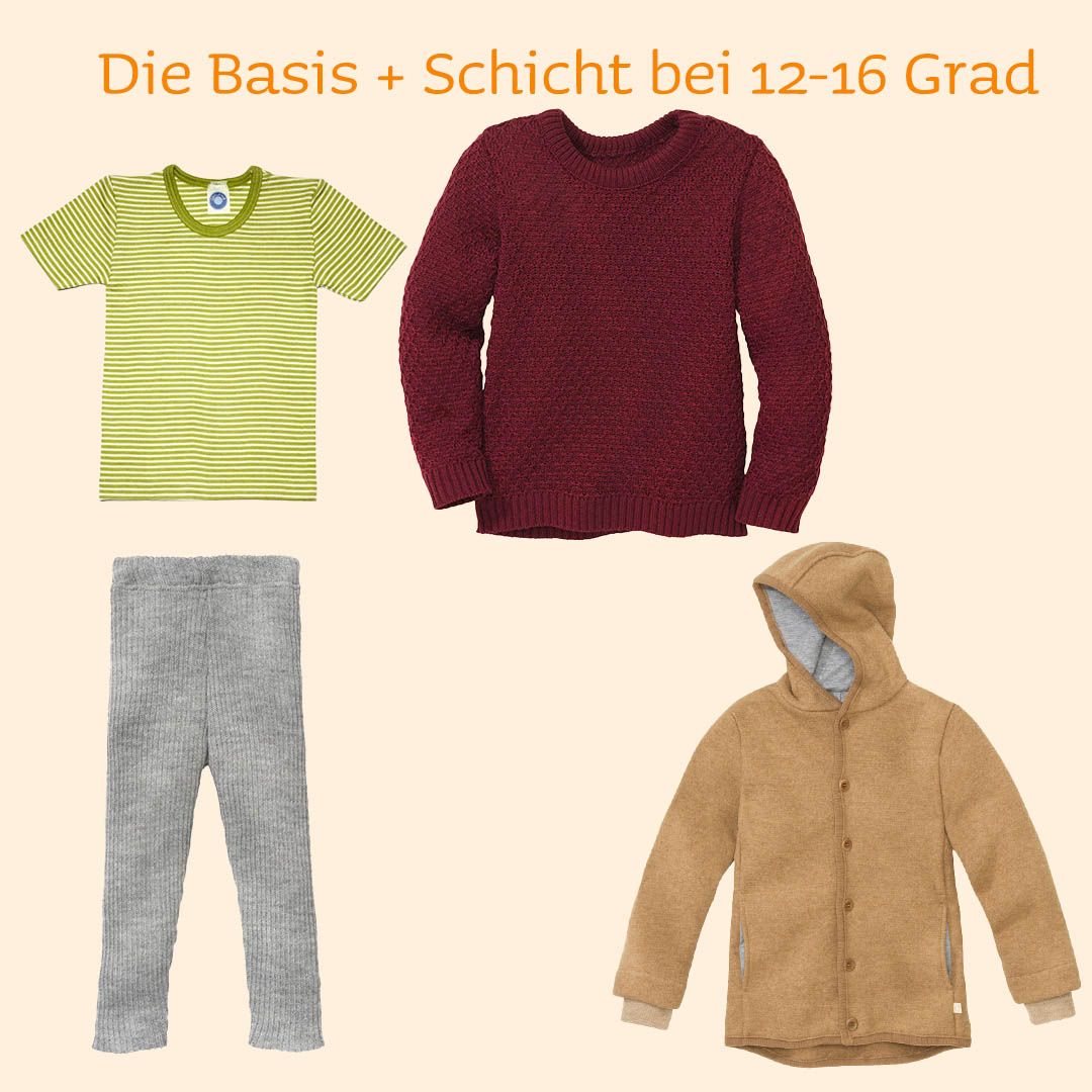 Zwiebelprinzip-12-bis-16-Grad.jpg