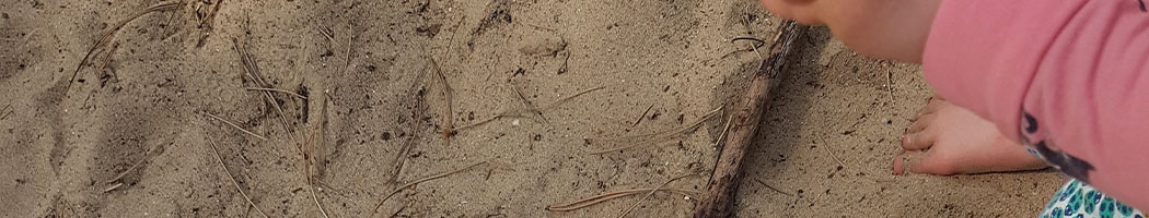 Banner-Desktop-Sommer.jpg